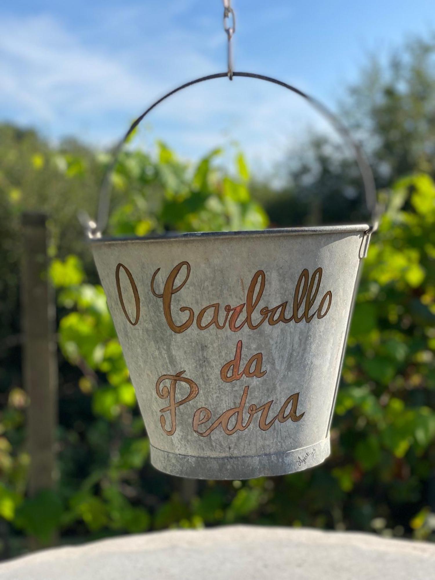 Casa Rural O Carballo Da Pedra La Caniza Exteriér fotografie