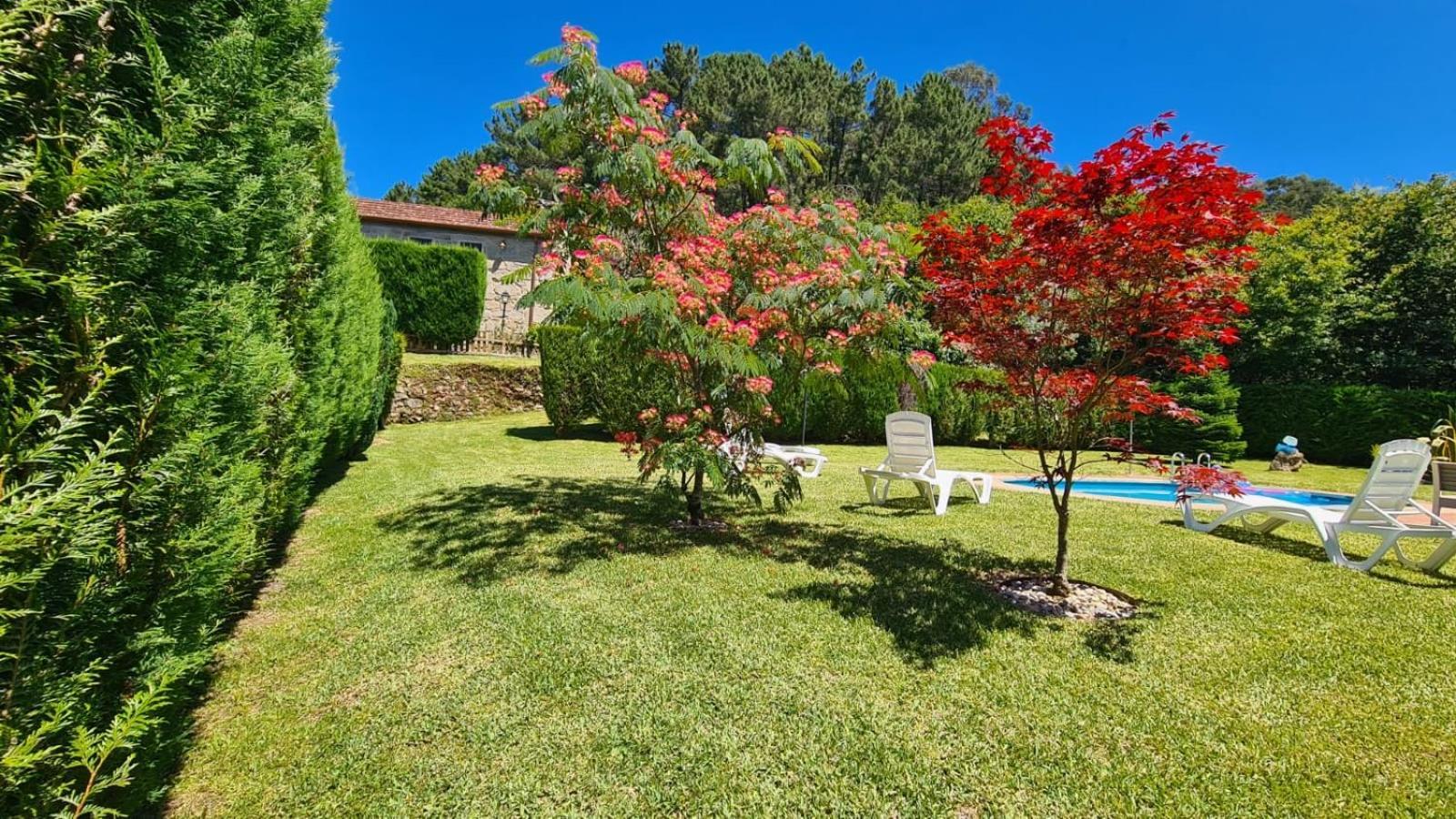 Casa Rural O Carballo Da Pedra La Caniza Exteriér fotografie